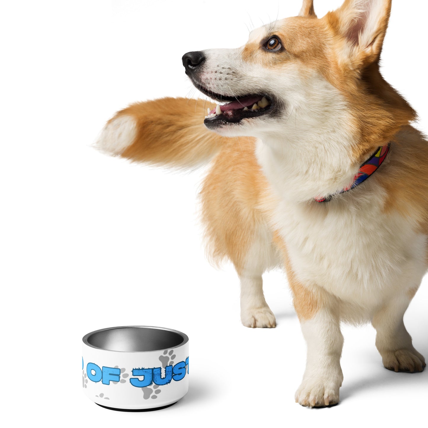Pet bowl 32oz Pink Letters