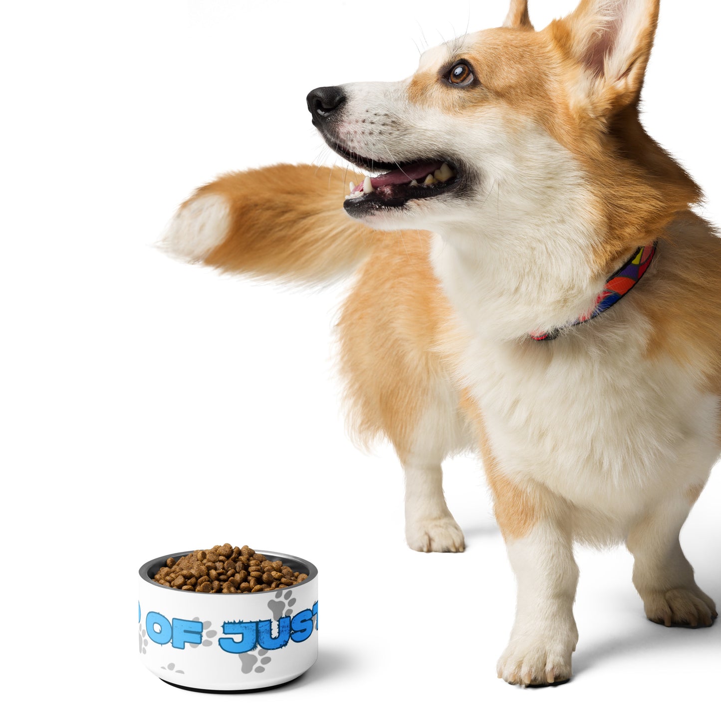 Pet bowl 32oz Pink Letters